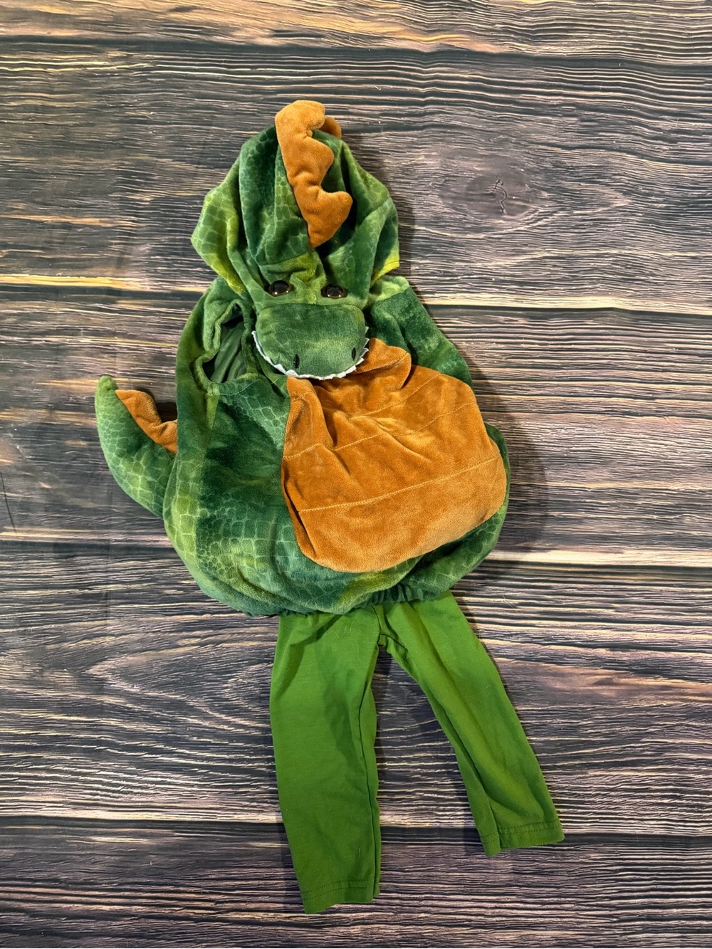 6-12 month Spirit Dinosaur Hooded Costume